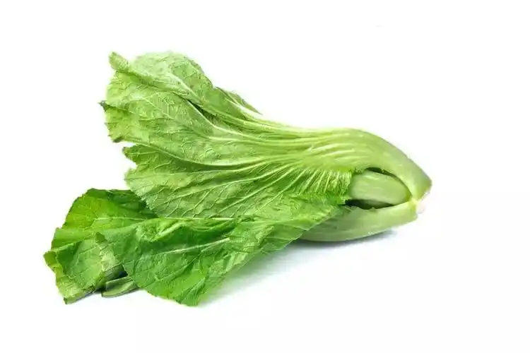 夏天凉拌菜很受欢迎但这些菜不能生拌你知道吗