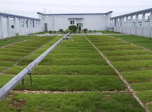 屋顶隔热屋顶防水屋顶绿化空中花园