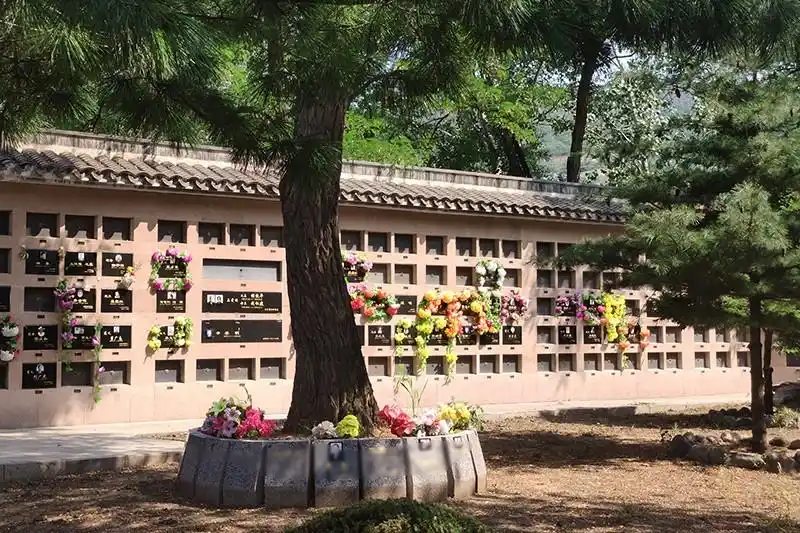 骨灰墙一般在哪些地方有?