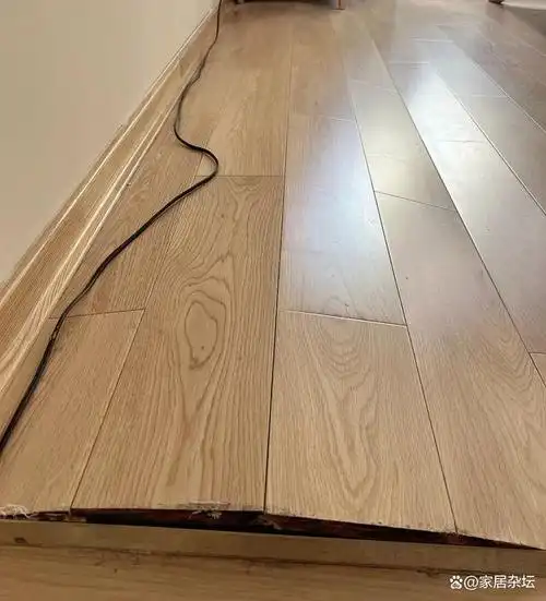 为何越来越多人不铺木地板过来人说这6个缺点让人难忍受