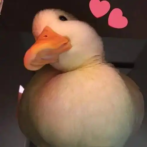 情侣头像一对两张l小仙女都是怎么骂人的