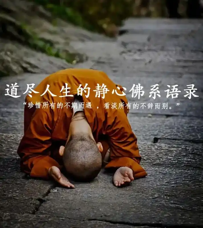 众生皆苦,唯有自渡.虔诚修行,慈悲为怀#佛系 #佛教正能量  - 抖音