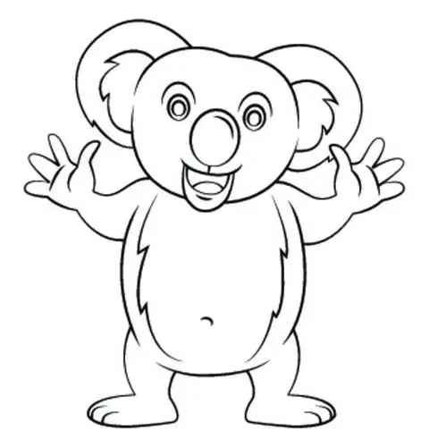 考拉图片澳大利亚的国宝可爱树袋熊图片