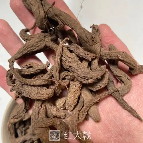 中药材红大戟红大戟的价格