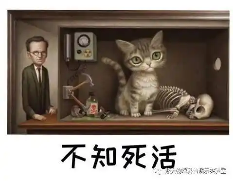 有趣的物理科普表情包