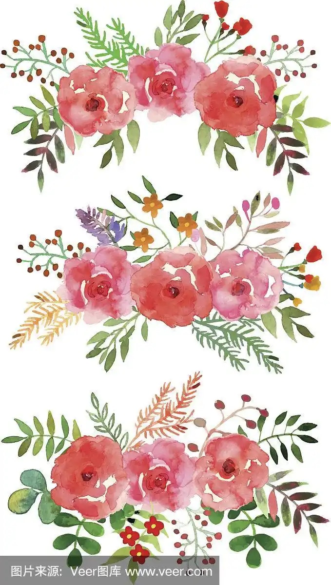 矢量花集水彩花.