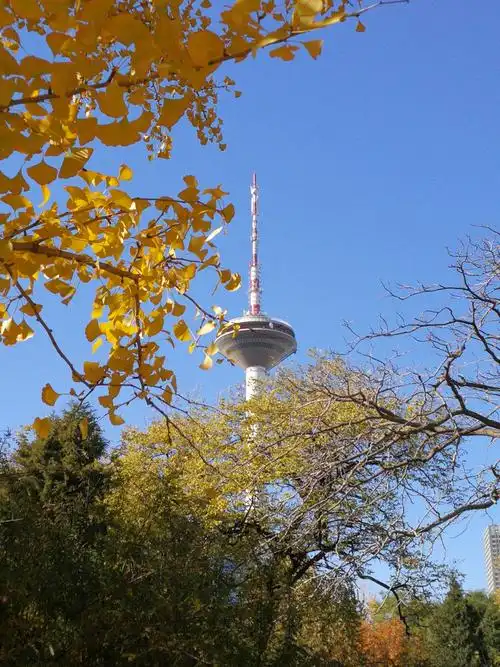 丹枫迎秋(一)一游沈阳南塔公园,沈阳青年公园