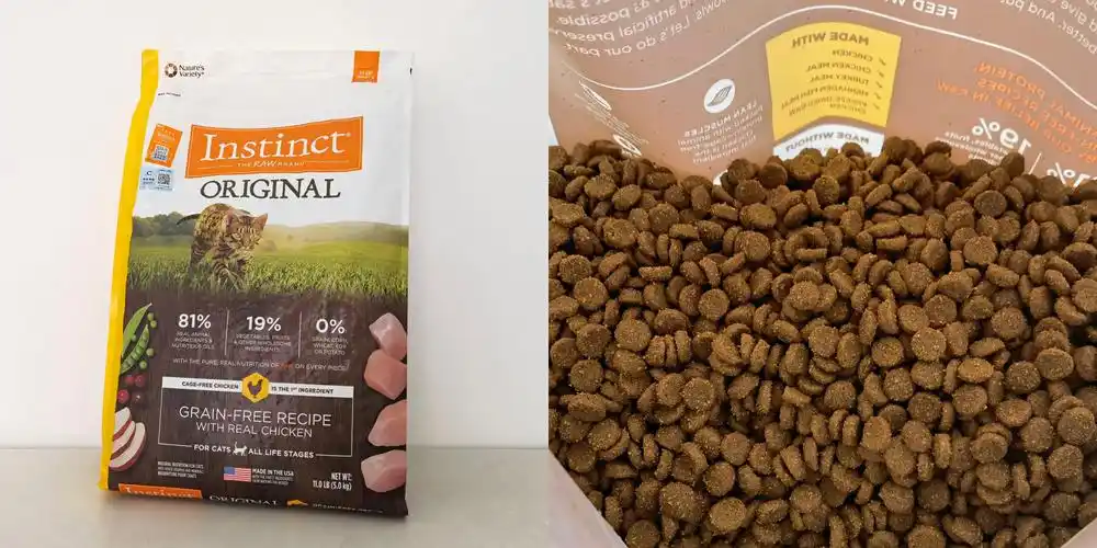 肥猫狂喜按头推荐百利猫粮