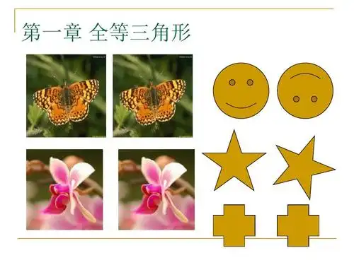 新苏科版八年级数学上册《全等图形1》优质课课件