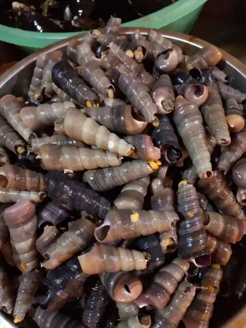 北海,一座适合生活的城市,气候适宜物产丰富物价低.