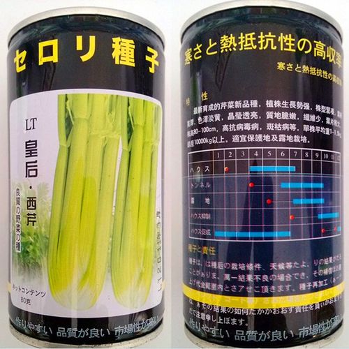 日本进口皇后西芹种子早熟抗病适应性强纤维少高产香芹蔬菜种籽 日本