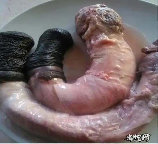 驴鞭驴鞭图片驴鞭的功效与作用