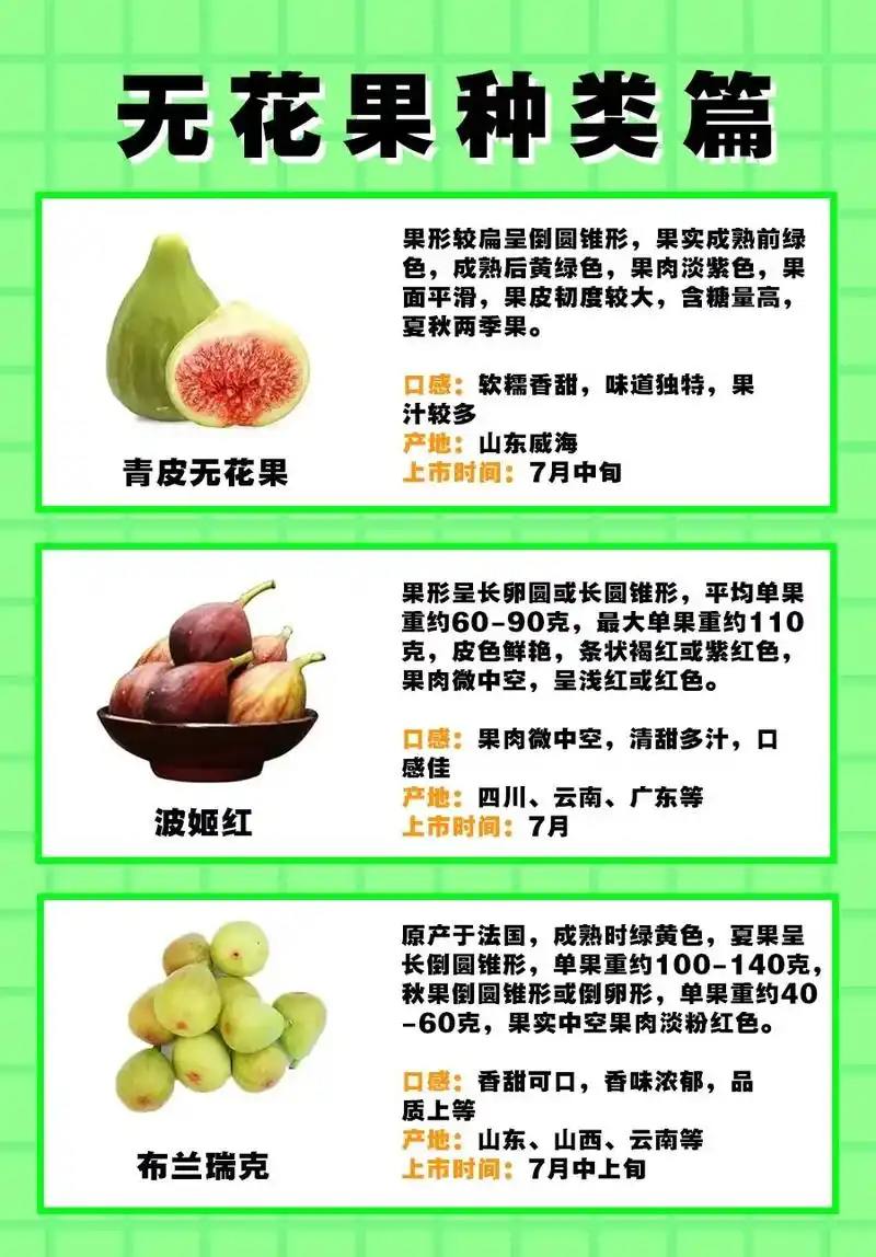 无花果种类篇.功效:清热生津;健脾开胃;解毒消肿.主咽喉肿痛 - 抖音