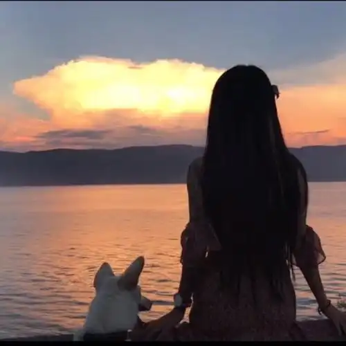 一人一狗夕阳静好