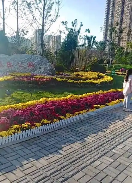 这就是太原 直播太原 到太原摄乐公园了 看看外景全景