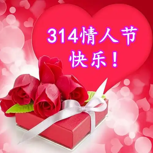 3月14情人节快乐