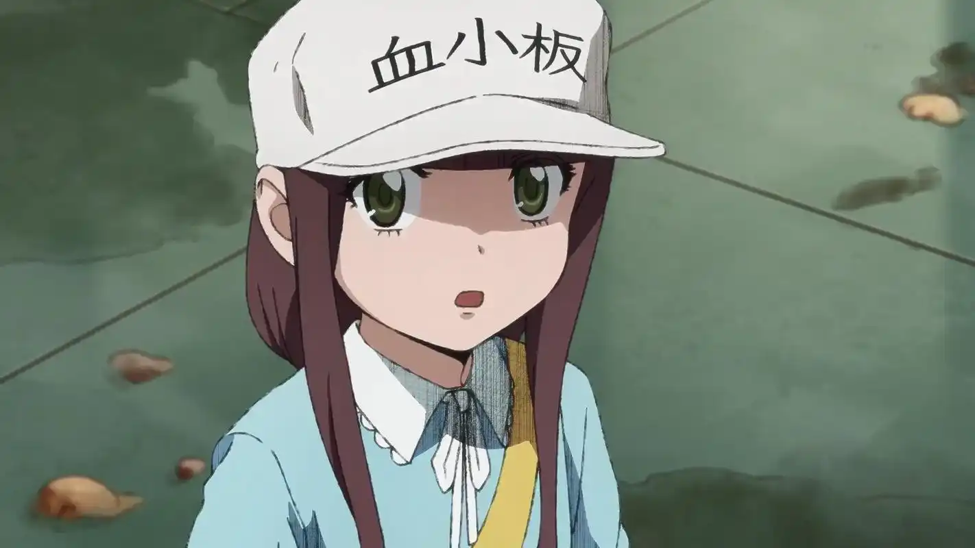 你们要的女装白细胞来了,血小板还是那么萌_工作