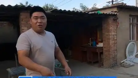 一条罗威纳镇压整个狗场,豫西小丁爆红全网,谁才是真正的主人1