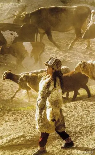 可可托海的牧羊人