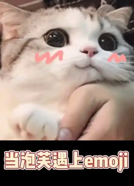 是你喜欢的小泡芙吗