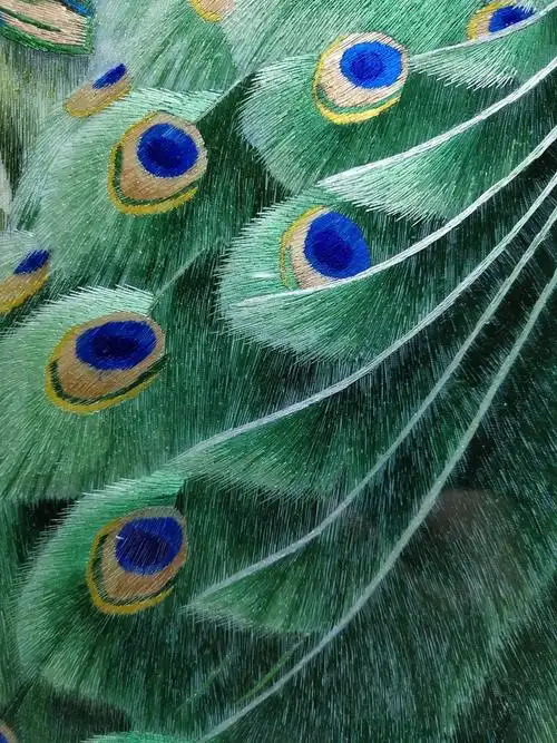 精品 曾孝濂作 绿孔雀 纯手工刺绣品绣者湘绣