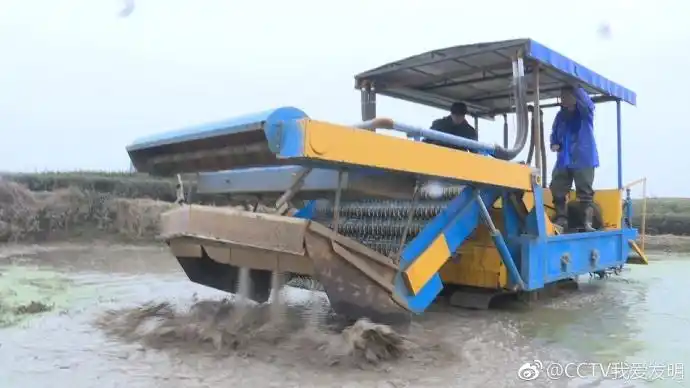 我爱发明马蹄出土记,挖马蹄机器:马蹄荸荠采集机