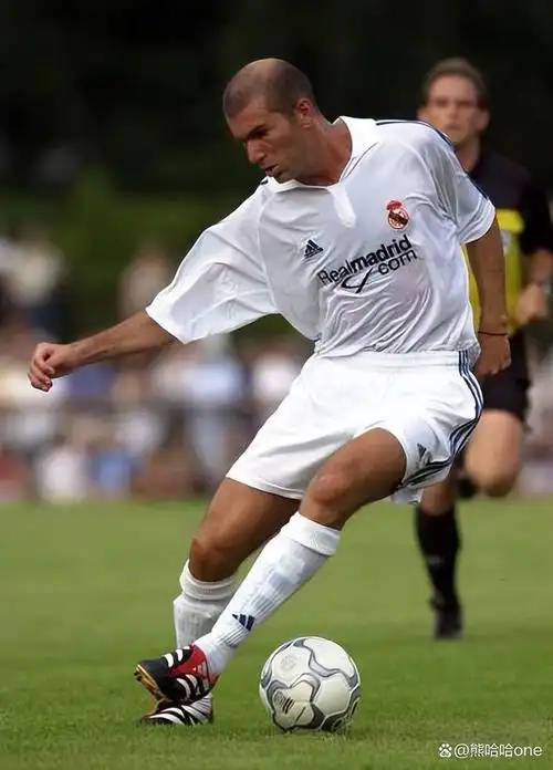 1 齐内丁·齐达内