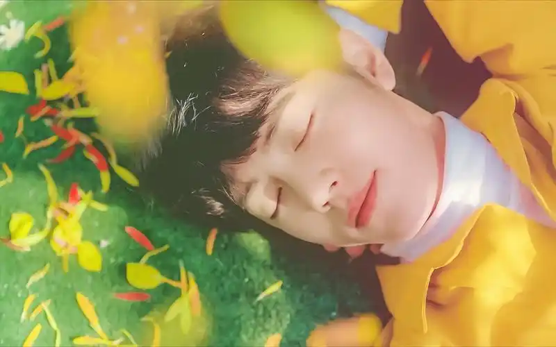 肖战电脑壁纸 - 堆糖,美图壁纸兴趣社区