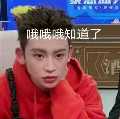 大厂表情包——王琳凯×禁二传