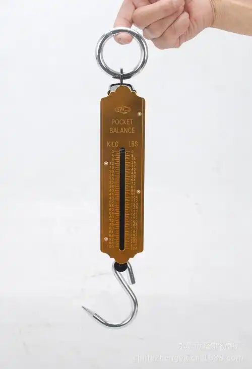 厂家生产] 鱼牌100kg 弹簧钩秤/机械平板秤