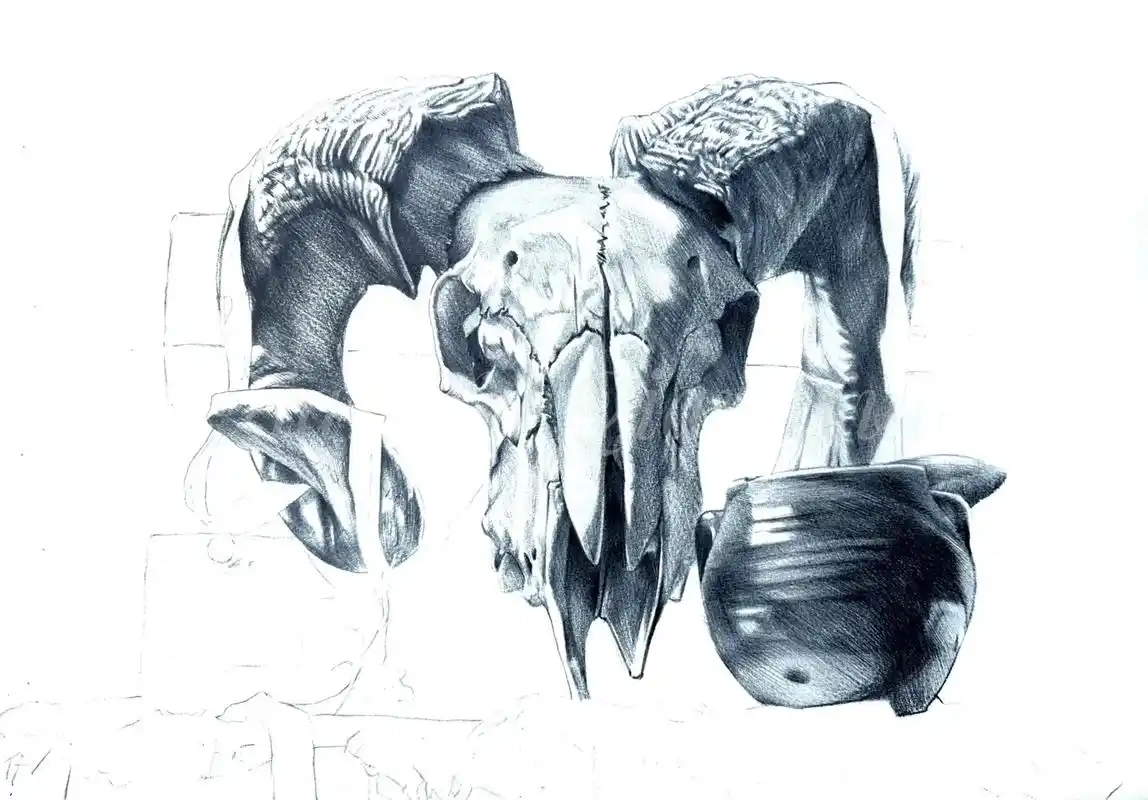 彩铅羊头骨静物组合.上课示范的素描底色部分.未完待续～#画画 - 抖音