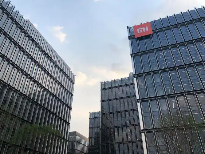 上市一周年小米过冬雷军抛掉速胜幻想