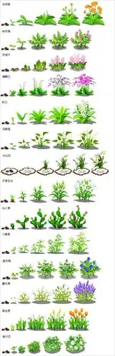 qq农场翻地时得到的作物成长过程的全景图