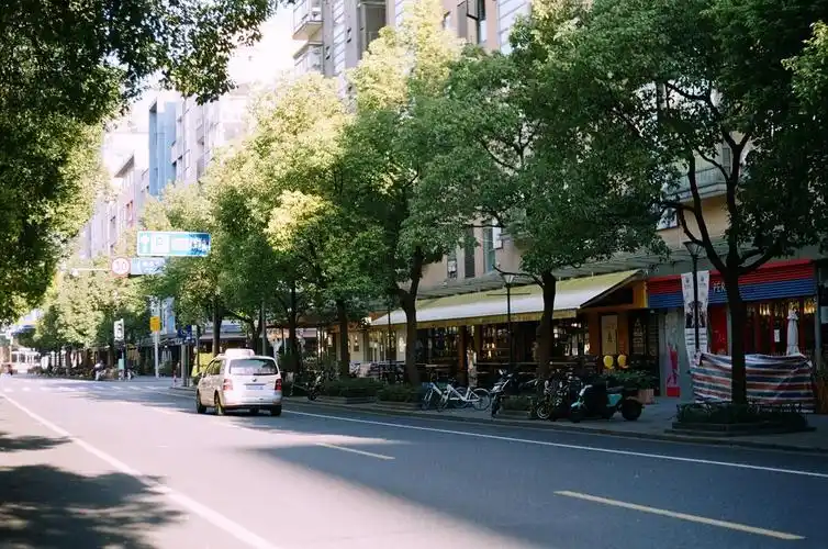 时间2020年2月地点上海市杨浦区大学路胶片机海鸥df1胶卷富士c200彩色