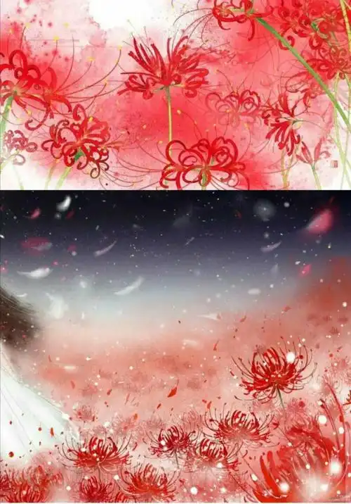 4彼岸花,又名曼珠沙华大红色的花,红得艳丽红得惊人红的如鲜血漂亮的