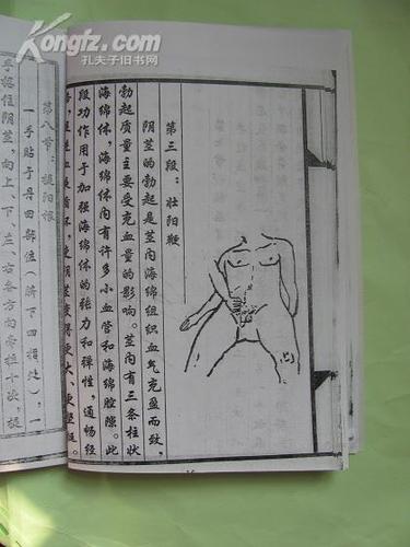 林氏铁裆功秘诀