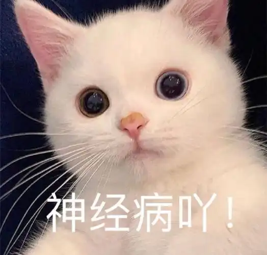 萌宠gif喵星人gif神经病gif生气gif搞怪gif逗gif