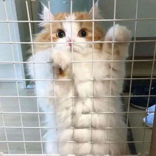 奶味小婷_://@王一博快来干我://@岛屿和小行星:@微博表情包#武汉