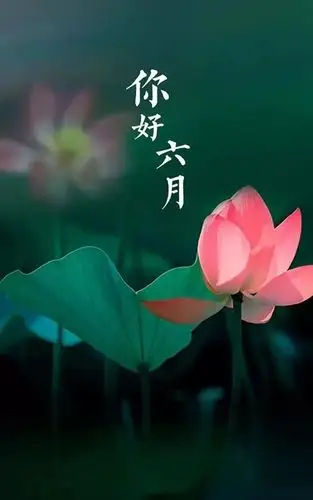 6月你好卡通海报图片大全,五月再见六月你好配图