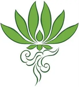 小学- 佛教志莲小学, chi lin buddhist primary school资料 - life