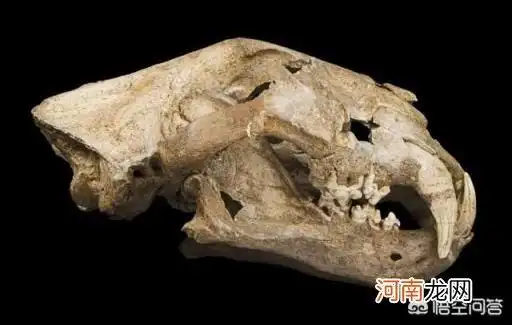 为什么? _生活百科