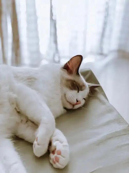 下雨天适合睡懒觉