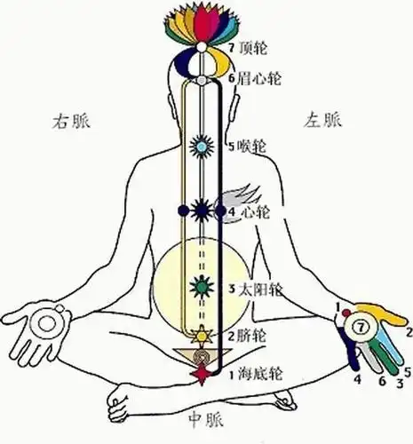 周天功内丹术详解