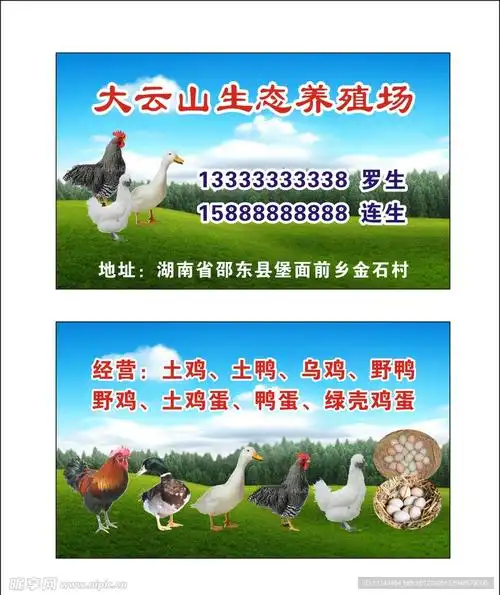 养殖名片图片