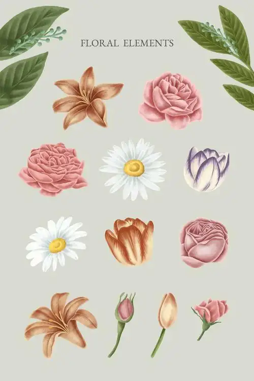 复古花卉元素矢量
