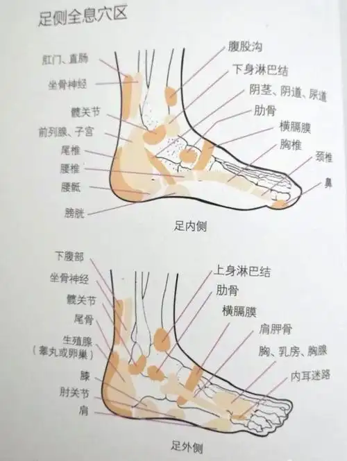 诊断| 足部常刮痧 健康相伴你我他