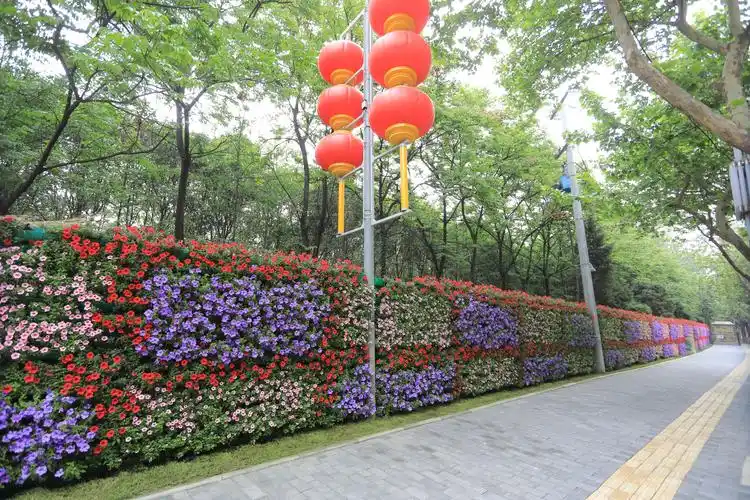 别致摆花烘托节日氛围高新区花团锦簇迎"五一"