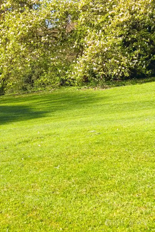 美丽的春天风景照片-正版商用图片1g7kvx-摄图新视界