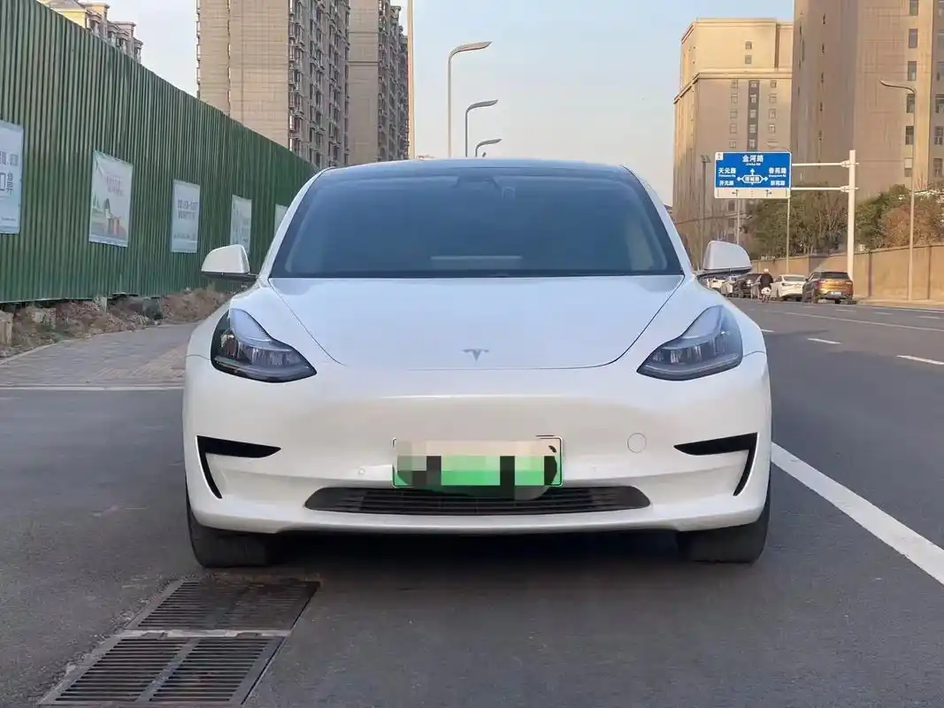 特斯拉model3.2019款 model 3 标准续航后驱 - 抖音