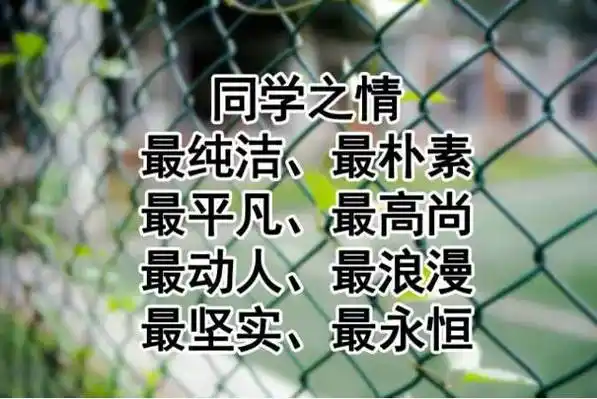 其它 正文 不用伪装的辛苦, 只管发泄的幸福, 一起开怀畅饮,一起举杯